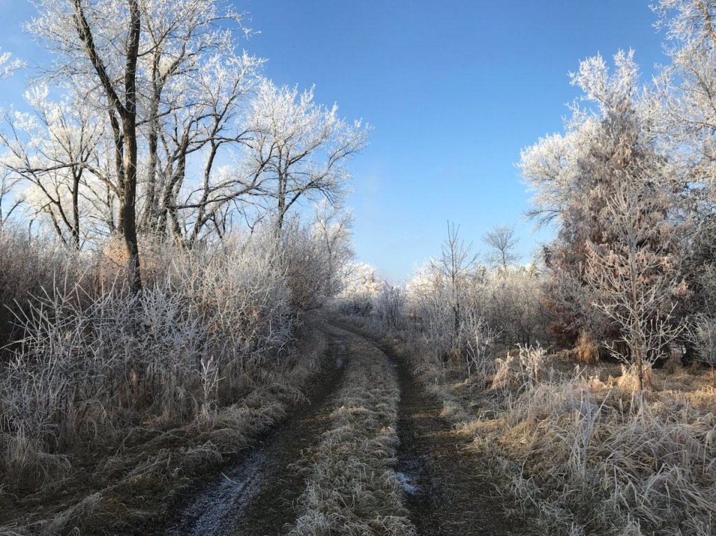 Bottled (Self-Collaboration 4)
